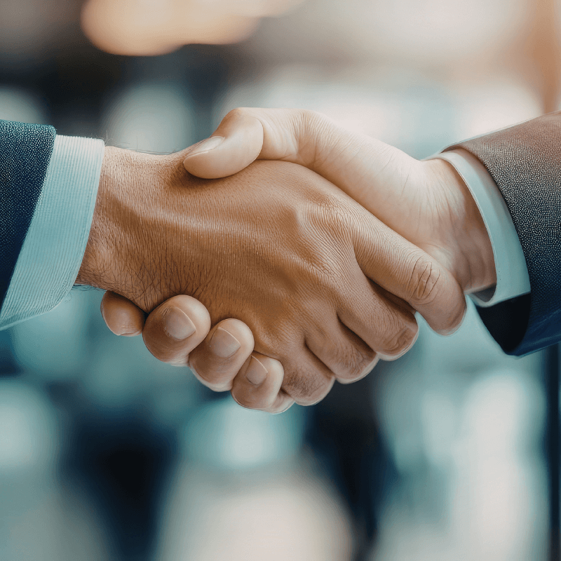 Imágenes web 800x800